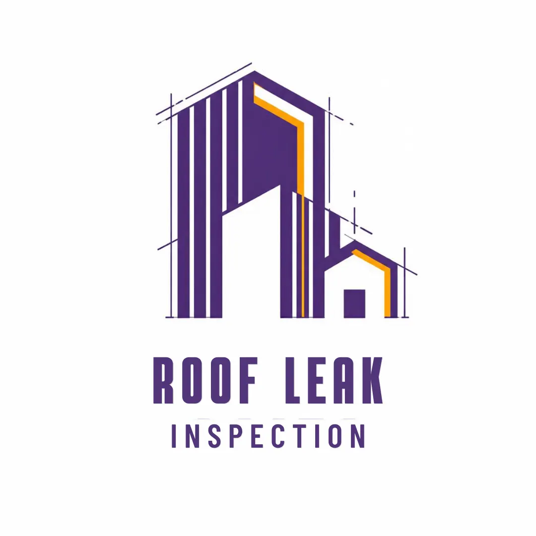 Roof Leak Inspection